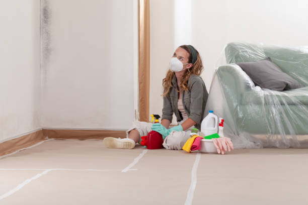 Reliable Basement Mold Remediation contractor in White Hall, MD by WQB Mold Removal